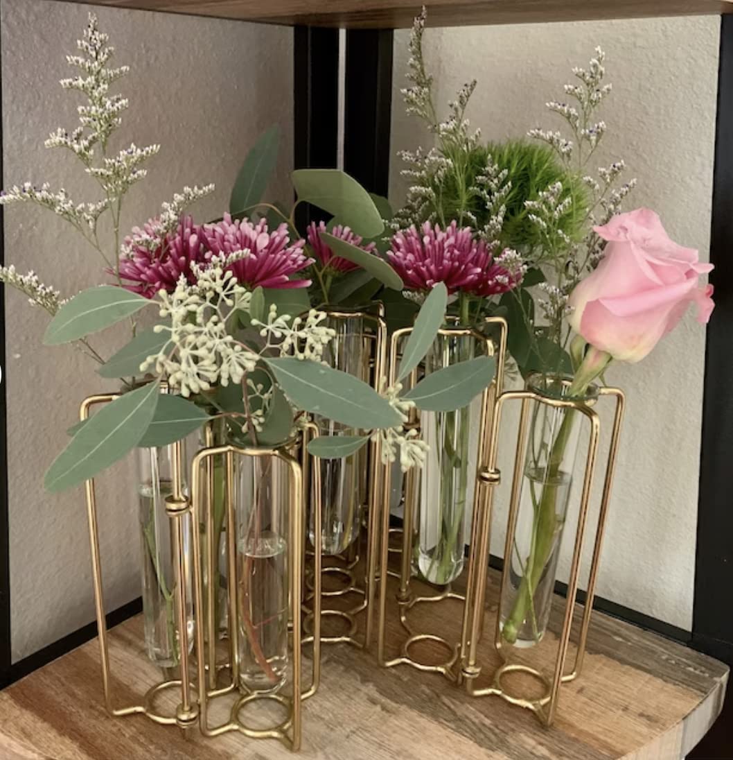 Amazon.com: Hinged Bud Vase 10 Pack, Glass Thin Cylinder